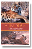 The Tiger’s Roar