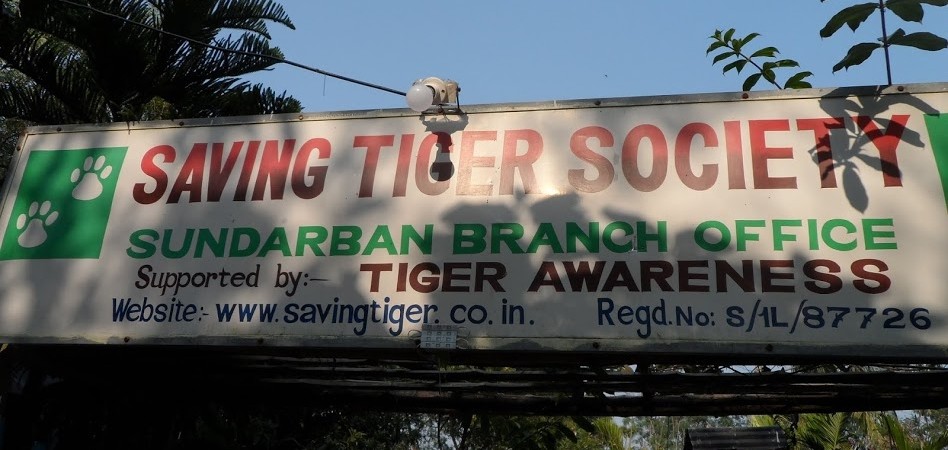 Tiger Awareness